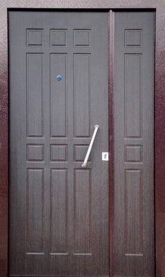 Тамбурная дверь DMP-010